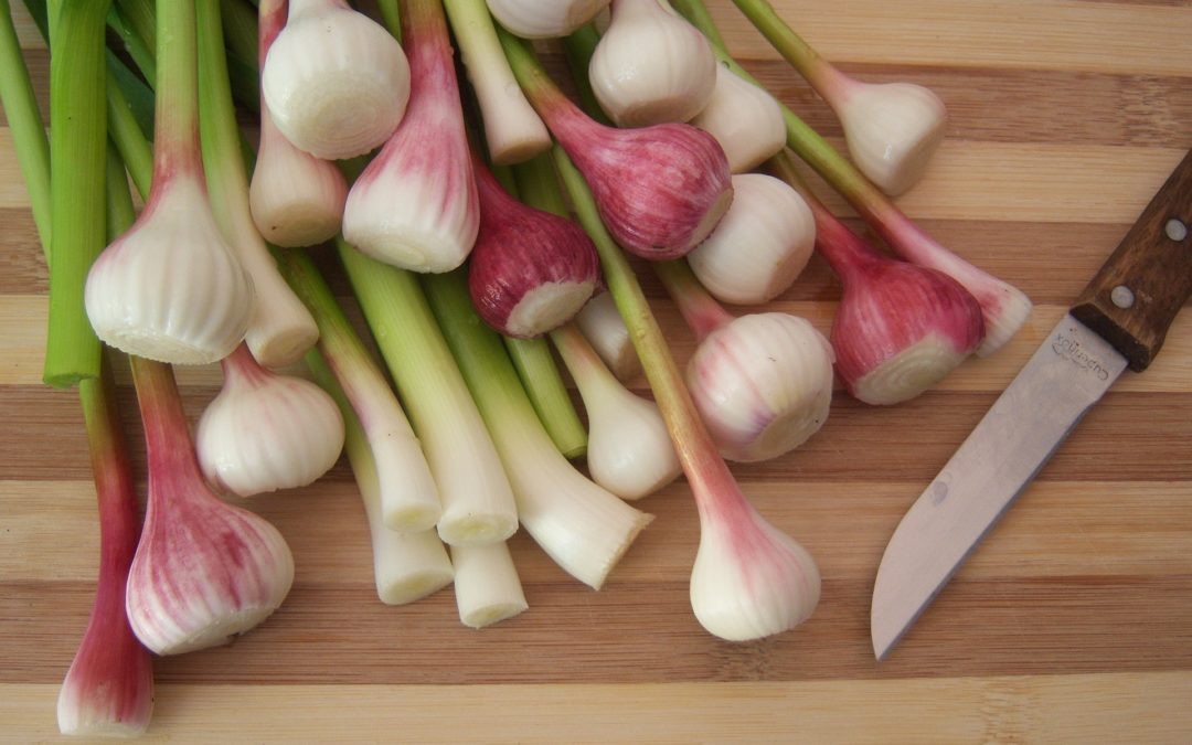 Ajo tierno: la irresistible adición primaveral para potenciar el sabor de tus platos