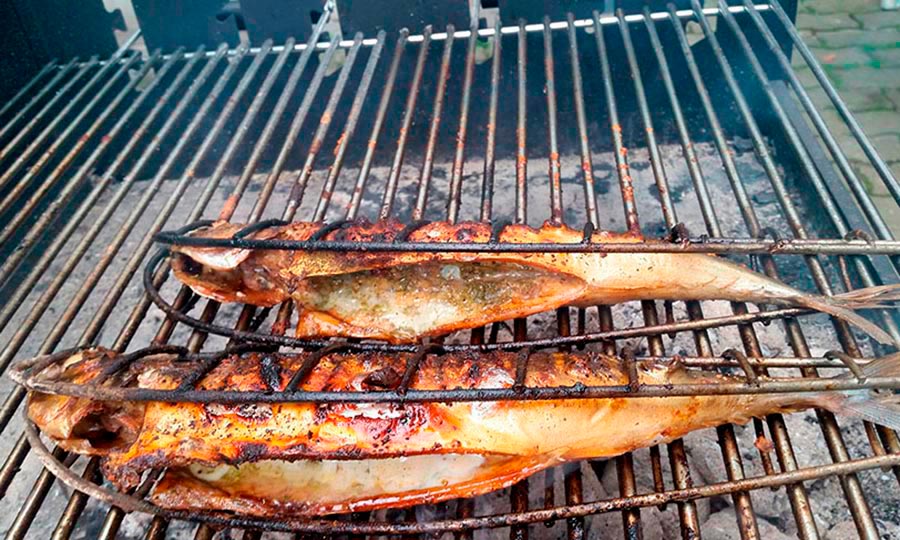 Caballa, un pescado versátil y muy saludable