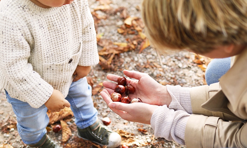 Castañas, un clásico del otoño para levantar el ánimo