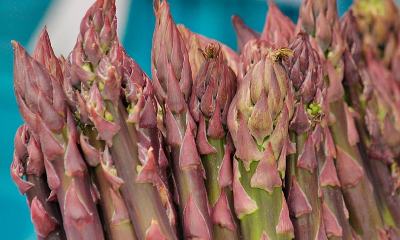 Lo mejor de la huerta: temporada de espárragos