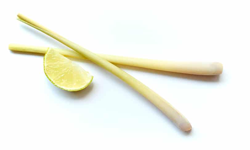 Lemongrass