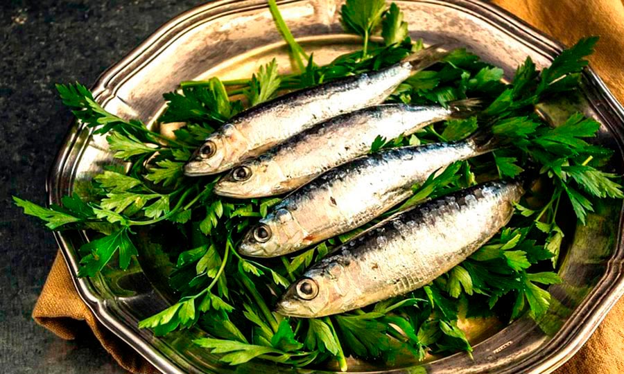 Sardinas