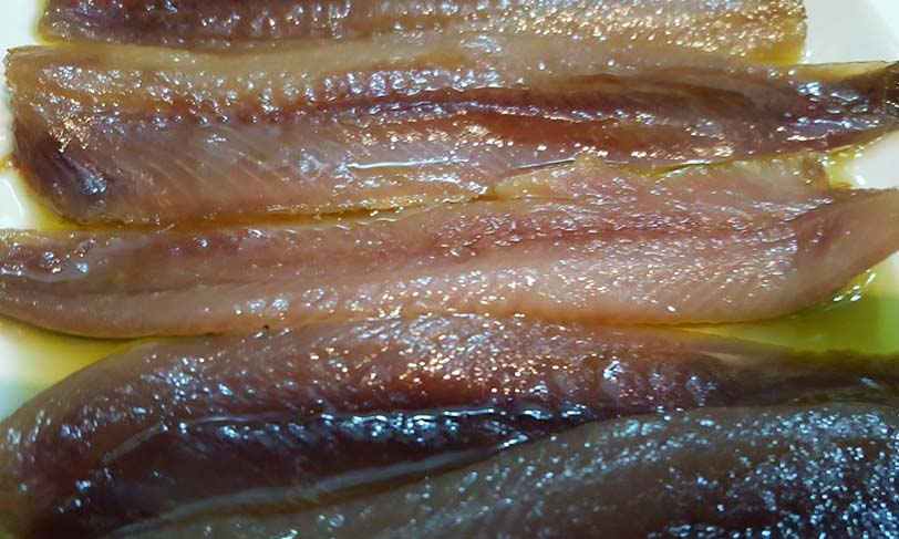 anchoayboqueron