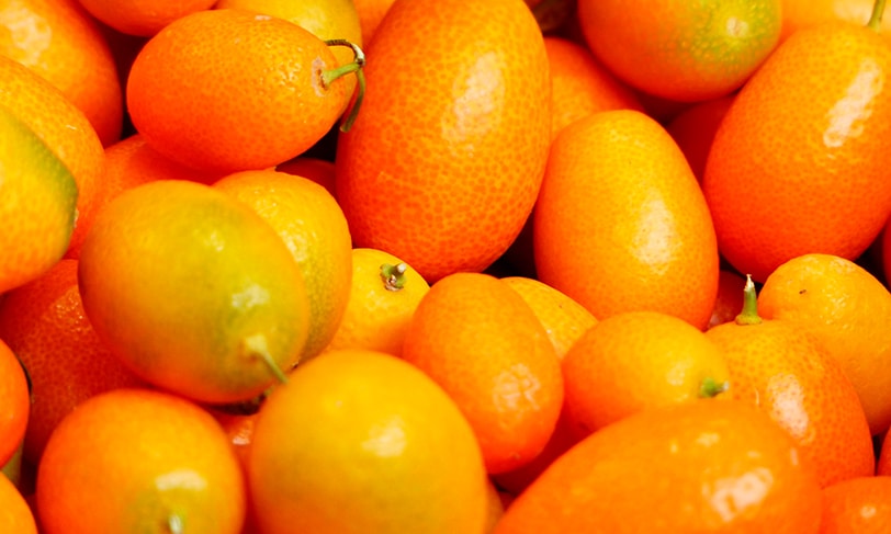 Kumquat