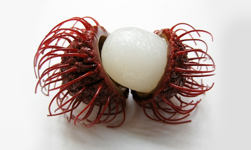 Rambután