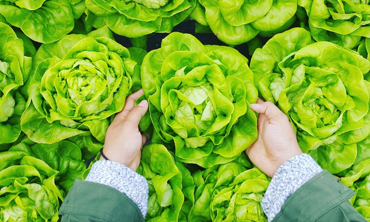 10 maneras innovadoras de utilizar las patatas en tu cocina