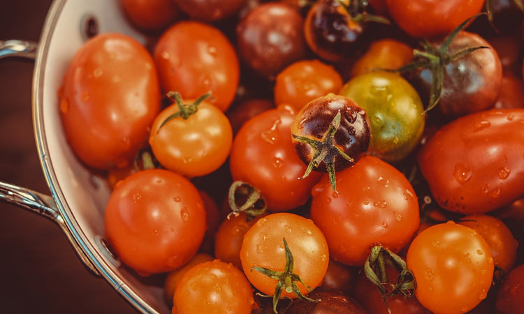 Variedades de tomate más utilizadas en la cocina