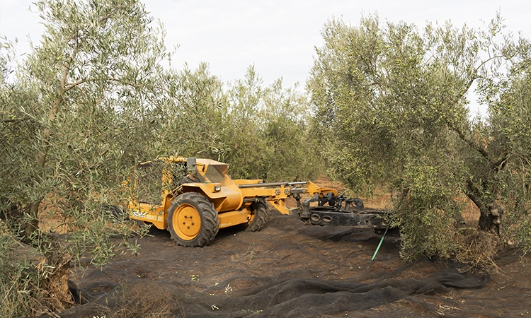 vibradores de tronco